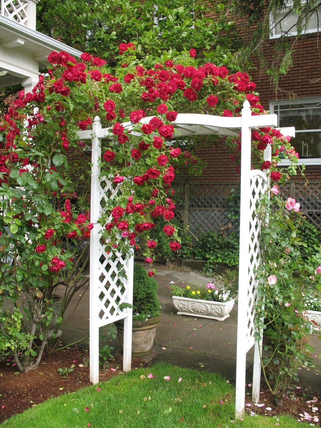 Lion And The Rose Victorian Guest House Portland Exteriör bild
